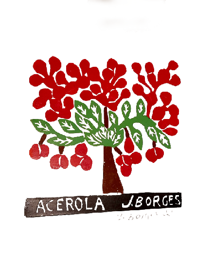 Acerola - Holzschnitt J.Borges 33 x 24 cm
